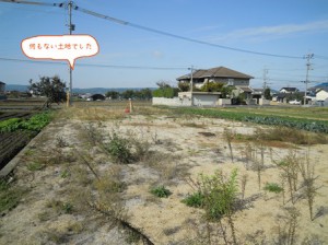 DSCN8300