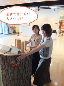 DSCF6868のコピー