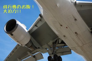 IMG_2118