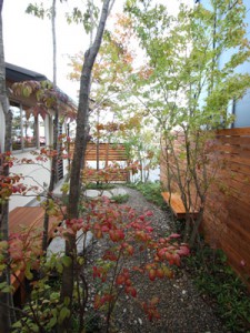 garden
