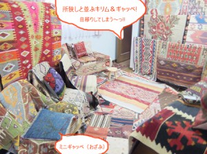 DSCF8674のコピー