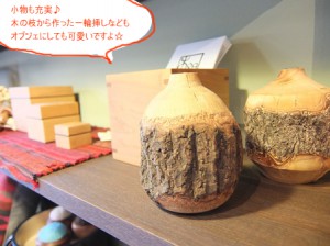 DSCF8668のコピー