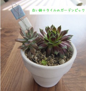 DSCF9001のコピー