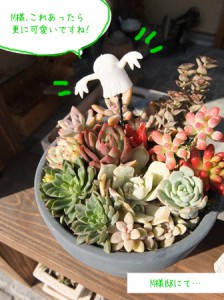 DSCF8823のコピー
