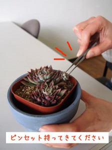 ???????????????????????????????