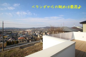 IMG_3544